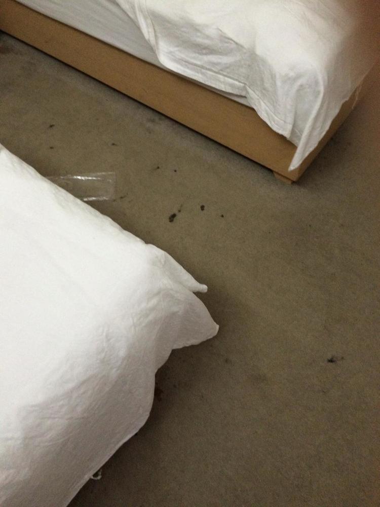 Tiga Hotel 广州 外观 照片